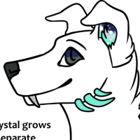 Thumbnail for NEB-324